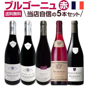 赤ワイン セット フランス 5本 wine set 750ml 厳選ブルゴーニュ