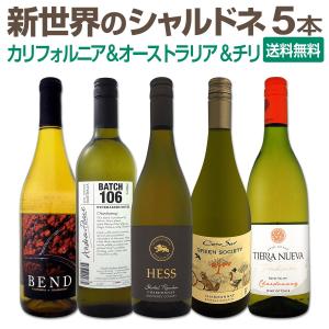 コノスルの新シリーズが初登場 お買い得ワイン wine を集めた新世界のシャルドネ chardonnay づくし５本セット set｜kbwine