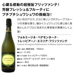 スパークリング sparkling ワイン w...の詳細画像5