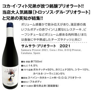 凄腕コカ・イ・フィト兄弟のスタイリッシュなスペ...の詳細画像1