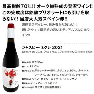 凄腕コカ・イ・フィト兄弟のスタイリッシュなスペ...の詳細画像4