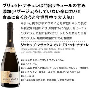 スペイン Spain 高級泡のメッカ・銘醸カタ...の詳細画像5