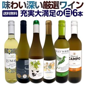 白ワイン セット フランス イタリア 6本 750ml 辛口 wine set 第207弾