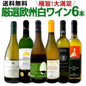 白ワインセット 第140弾 wine set 当店厳選 これぞ極旨辛口 存分に楽しむ｜kbwine