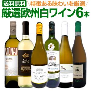 白ワイン セット フランス スペイン イタリア 5本 wine set 第143弾 当店厳選 これぞ極旨 辛口 白ワインを存分に楽しむ 味わい深いス…｜kbwine