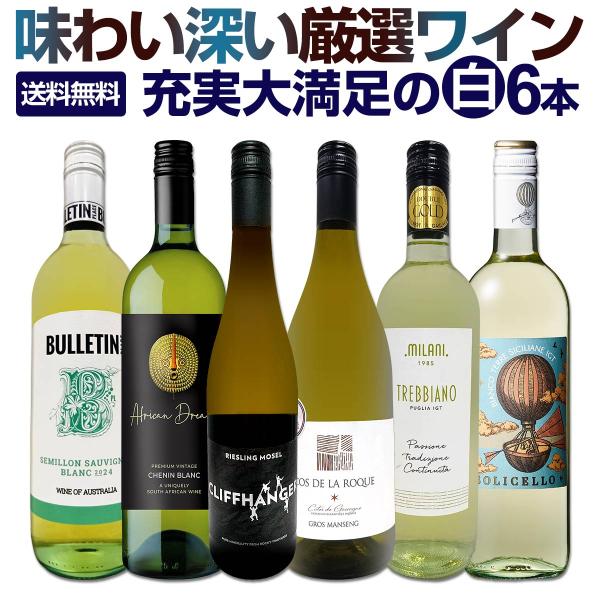 白ワイン セット フランス イタリア 6本 750ml 辛口 wine set 第207弾