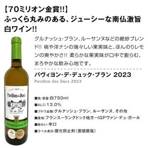 白ワイン セット 6本 金賞 set wine...の詳細画像1