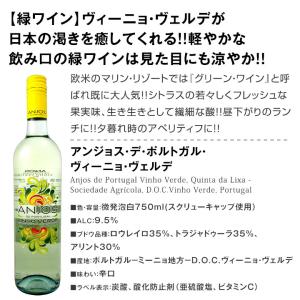 白ワイン セット 6本 金賞 set wine...の詳細画像2