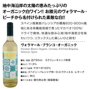 白ワイン セット 6本 金賞 set wine...の詳細画像3