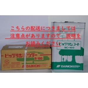 ビッグサン　32kgセット　（ビッグサンコートSC-100/ビッグサンパウダーR-100）大日化成　...