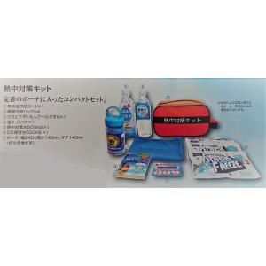 熱中対策キット ポーチに入ったコンパクトセットの商品画像
