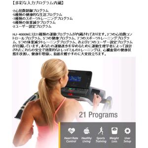 【送料無料(沖縄・離島を除く)】HJ-4000...の詳細画像3