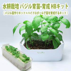苔盆栽 親はりねずみ 能作＆品品 小林健二 nousaku のうさく 盆栽 苔