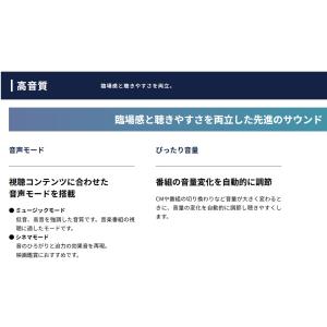 新品 FUNAI FL-24H2060 ハード...の詳細画像4