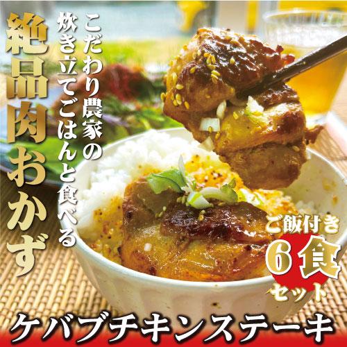 絶品ケバブチキンステーキと地元農家のおいしいお米の6食セット　お肉　肉料理　惣菜　ギフト　贈答　にも