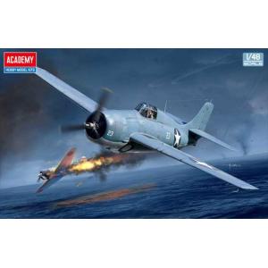 zvezda ズベズダ　1/48 IL-2 シュトルモヴィーク Amazon | ズベズダ 1/48 ソ連空軍 IL-2 シュトゥルモヴィーク