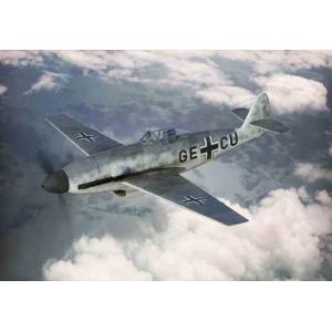 ブレンガン 1/144 メッサーシュミット Me-309V-1/V-2 プラモデル BRP14401...