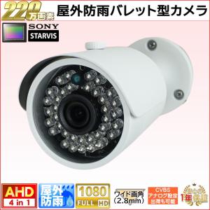 日本防犯システム (送料無料) JS-CA4131A JSS アナログHD対応 5メガ