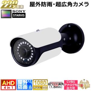 日本防犯システム (送料無料) JS-CA4131A JSS アナログHD対応 5メガ