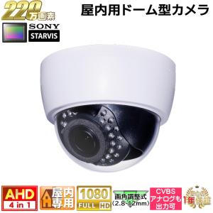 WTW 塚本無線 【WTW-BDDR219WGX】防犯カメラ ドーム型 内蔵アンテナ