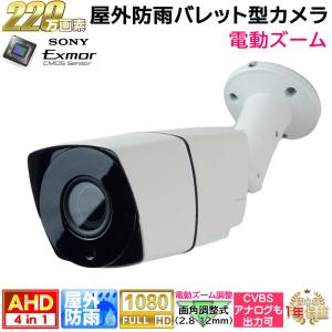 マザーツール MTD-309QHD 防犯カメラ 監視カメラ ドーム型 屋外 防水