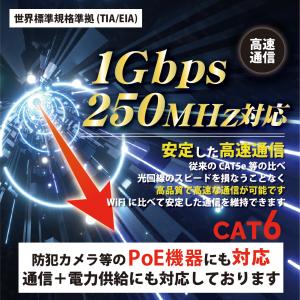 LANケーブル 70m 屋外用 CAT6 Po...の詳細画像3