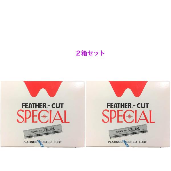 替刃　フェザー安全剃刀 フェザーカットスペシャル 替刃 10枚入り×10個×２