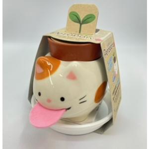 ペロポン　キャッツ　ミケネコ/ワイルドストロベリー