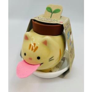 ペロポン　キャッツ　茶トラ/ミント