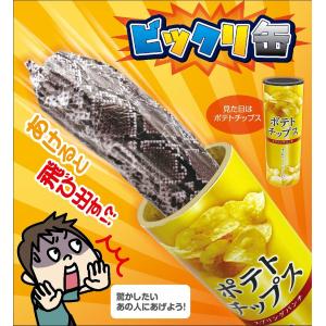 ビックリ缶 ポテトチップス ビックリ箱 パーティーグッズ ドッキリ サプライズボックス おもしろグッズ プレゼント 雑貨 Kk Y 北柏デンキ Yahoo ショップ 通販 Yahoo ショッピング