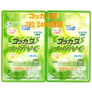 送料無料・アドバンス腸内細菌食品・コッカスストロング 360粒入X４箱セット 公式】コッカス ストロング-腸内細菌の株式会社アドバンス