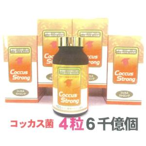 コッカスストロングx4瓶・濃縮乳酸菌コッカス4粒6千億個・アドバンス(安い代替品プロテサン⇒画像参照) <会員限定・優待価格>｜kdckdc