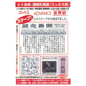 コッカスドリンクゴールドx10瓶・アドバンス(...の詳細画像4