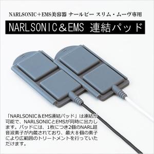 オプション付き イーポレーション コンプリート 9ポイントプローブ 9ポイントプローブ（イーポレーション・コンプリート専用） : ケィ