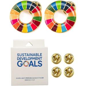 2個セットSDGsバッジ 国連正規品 25mm 剥がれ防止 表面が丸み