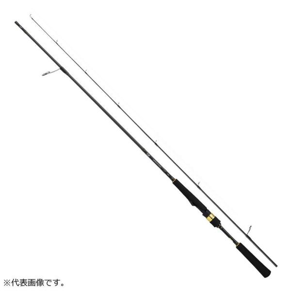 ダイワ(DAIWA) ボートシーバスロッド ラテオ BS 63MS 釣り竿