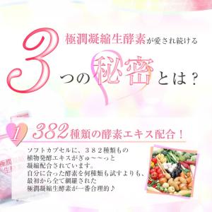 生酵素 サプリ サプリメント 酵素 ダイエット...の詳細画像3