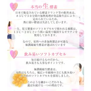 生酵素 サプリ サプリメント 酵素 ダイエット...の詳細画像5