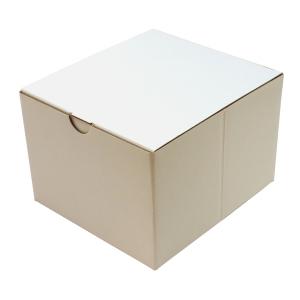オリジナル コミックボックス 新書用 105-0002-WH