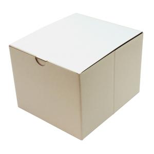 KDMオリジナル コミックボックス B6用 10...の商品画像