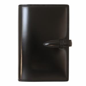 【新品】レイメイ藤井 ダヴィンチ オールアース A5スリム JDA4052B 8310218.jpg
