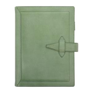 限定 ダ・ヴィンチグランデ ロロマクラシック A5 システム手帳 リング径20mm  エスメラルダ  DSA1197ES