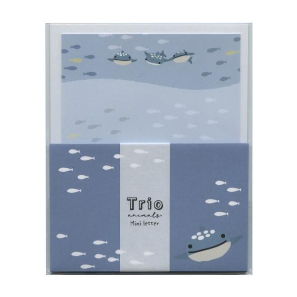 トリオ水族館 ミニレター ジンベイザメ かわいい B25-TRML-JZ