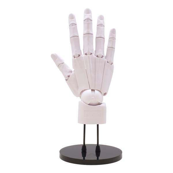 1/1スケール ARTIST SUPPORT ITEM ハンドモデル メンズ/R ホワイト/右手  ...