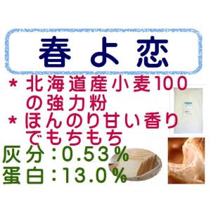 春よ恋 1kg 強力粉 パン用小麦粉 / ヤマ...の詳細画像2