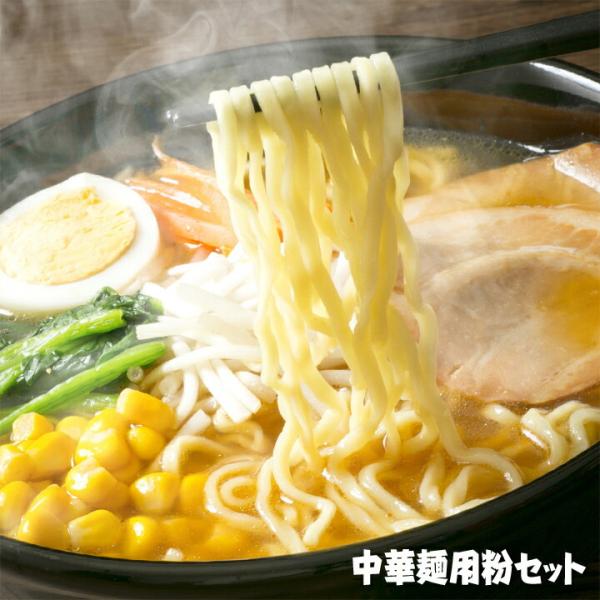 よりどり10種ラーメン用粉セット 10種類から選べる 中華麺用粉 特龍翔 / 和華 / 勇 / 傾奇...