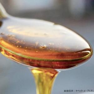 100%ピュア メープルシロップ 1L / 1...の詳細画像2