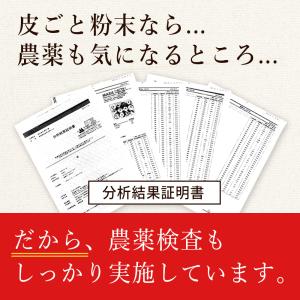 アップルファイバー 青森県産 りんご 粉末 サ...の詳細画像4