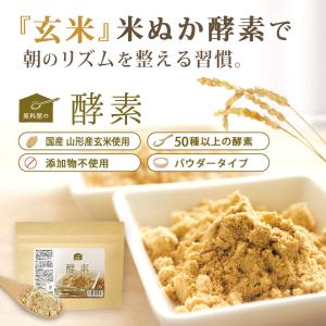 酵素 粉末 サプリ [ 約33日分 100g×...の詳細画像1