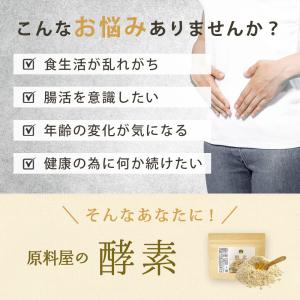 酵素 粉末 サプリ [ 約33日分 100g×...の詳細画像2